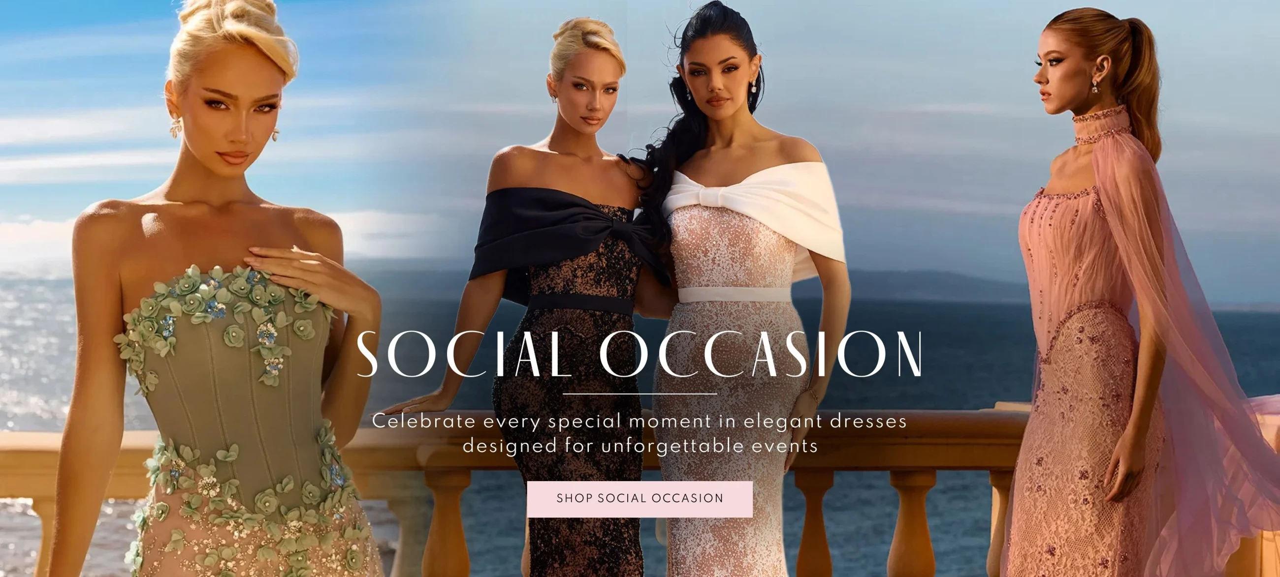 Social Occasion Banner