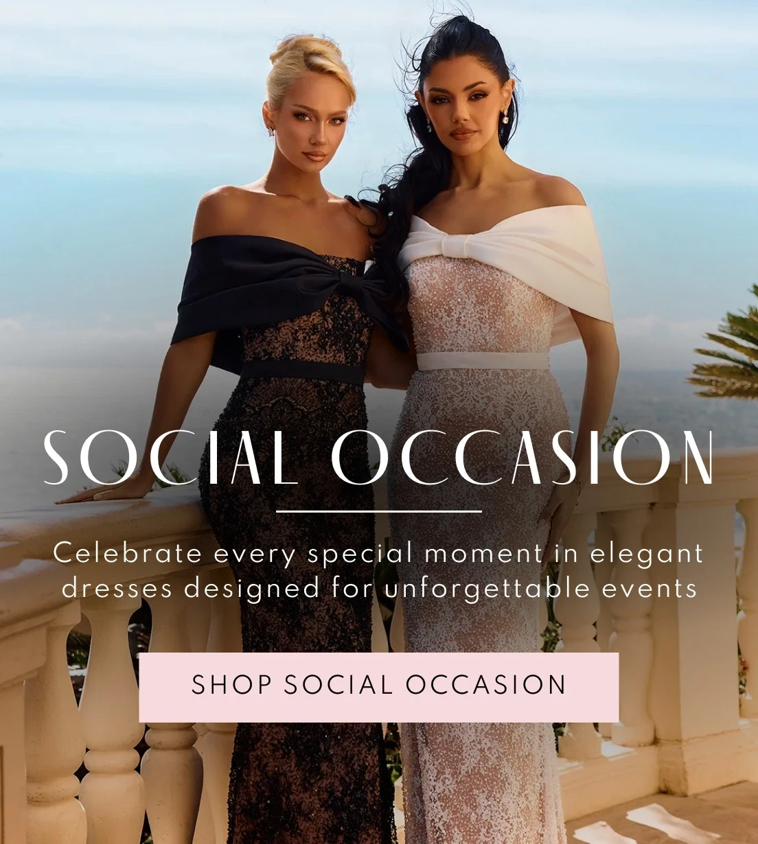 Social Occasion Banner